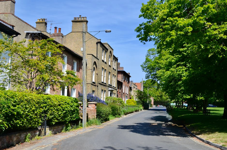 A quiet residential street in West Hampstead, featuring a row of traditional brick terraced houses on the left side, with some front gardens shaded by leafy trees and lush green shrubbery. The houses have varying shades of brown and red brickwork, with sash windows and chimneys visible on their pitched roofs. A grey lamppost stands centrally along the sidewalk, with a streetlight extending from it. The paved road curves gently to the right, bordered by green lawns and parks on the right side, shaded by large, mature trees with vibrant, fresh foliage. The sky overhead is clear and bright blue, enhancing the peaceful suburban atmosphere. Waste Removal West Hampstead occasionally handles private rubbish collection and on-site clearance for homes in this area, as suggested by the well-maintained appearance of the street and surroundings, reflecting a community served by independent waste management services. The scene emphasizes a clean, tidy environment suitable for regular rubbish disposal or alternative waste handling outside of municipal collection.